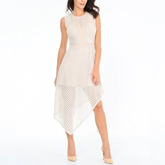 BCBG Max Azria Tracie Asymmetrical Hi Lo Lace Dress Bare Pink Nude Sz Small - Picture 1 of 9